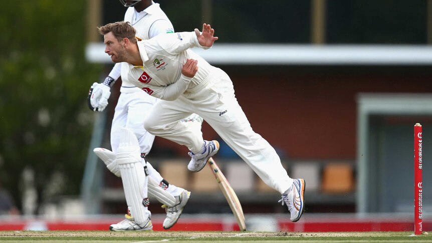 Rare outing ... Matthew Wade sends down some unerring medium pacers.