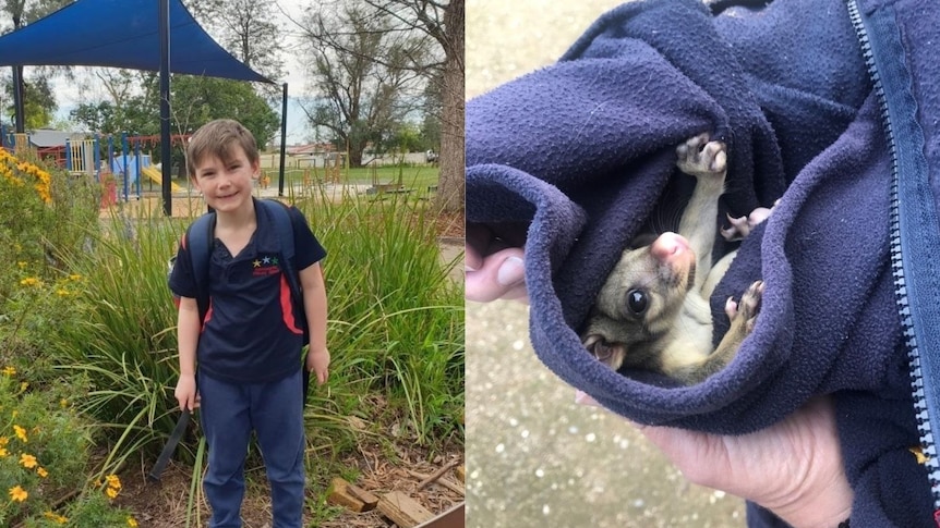 Rally Godfrey, 7, wearing a backpack and the baby possum he found curled up in a jumper