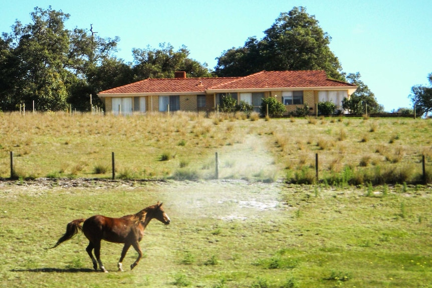 A horse and a house in the Swan Valley