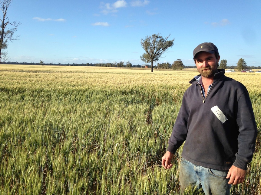 Farmer Tim Fry stands in the foreground of a crop of wheat growing on his property in Frances in South Australia.