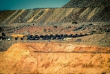 A huge fleet of giant trucks lined up in a massive mine.