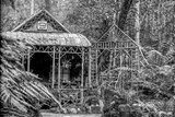 Grass Tree Hut built on kunanyi/Mount Wellington in 1891