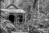 Grass Tree Hut built on kunanyi/Mount Wellington in 1891