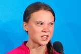 Greta Thunberg looks frustrated while speaking at the Climate Action Summit at the UN in New York.