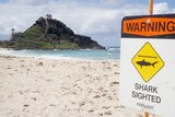 Shark warning sign at beach
