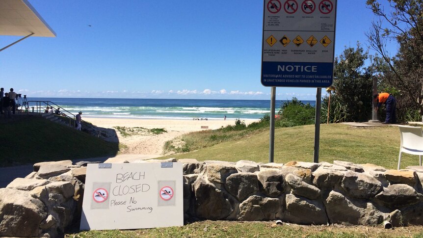 Lighthouse Beach is closed after a shark attack on a surfer.