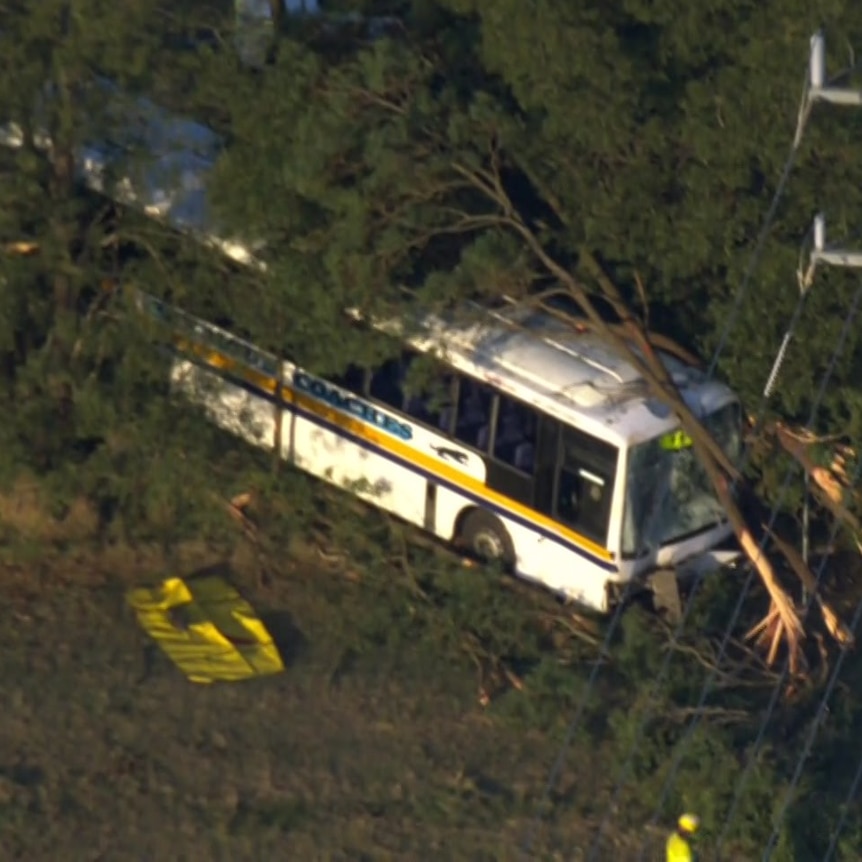 A bus crash seen from the air. The bus has crashed through trees 