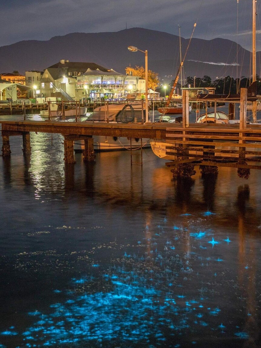 Bioluminescence in the water at Bellerive Yacht Club, with Mt Wellington in the background, Hobart.