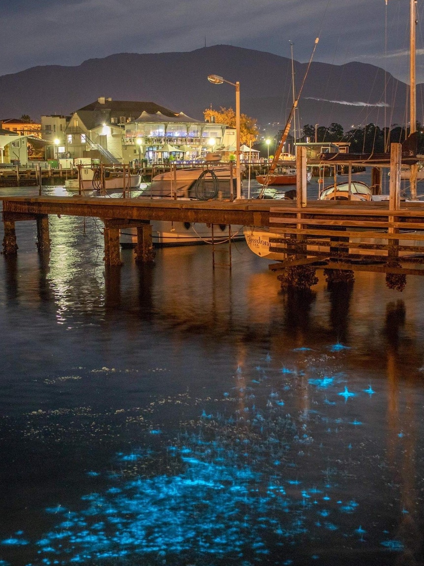 Bioluminescence in the water at Bellerive Yacht Club, with Mt Wellington in the background, Hobart.