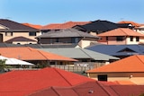 A view of a housing estate, with a number of different coloured-roofs.