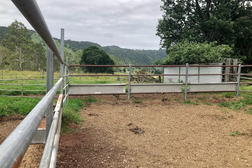 Railings and a cattle yard with mountains in the distance.