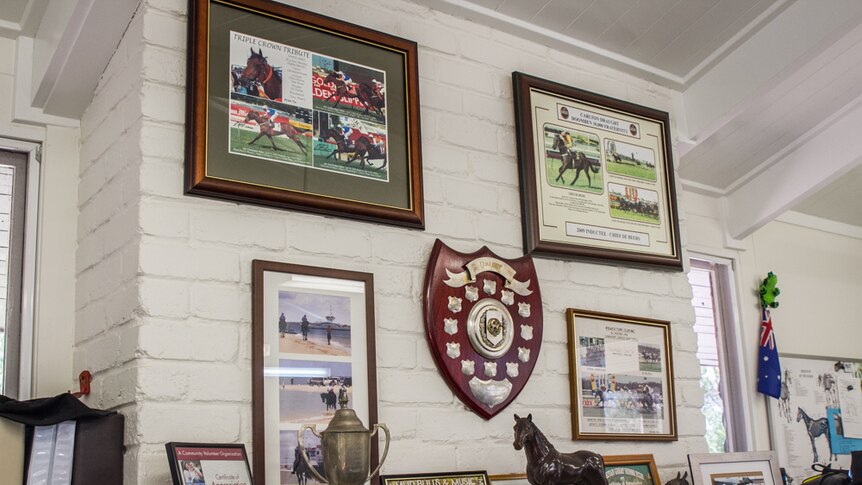 A trophy wall in the mounted police office shows the previous life of many of the horses.
