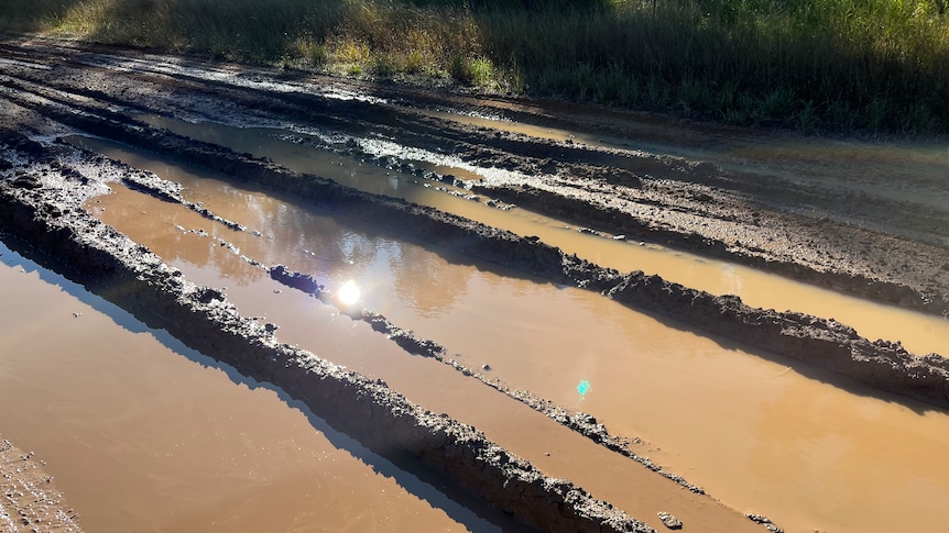 A muddy road filled with tired tracks and water