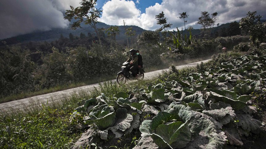 Mount Sinabung in Indonesia has been intermittently erupting since September.