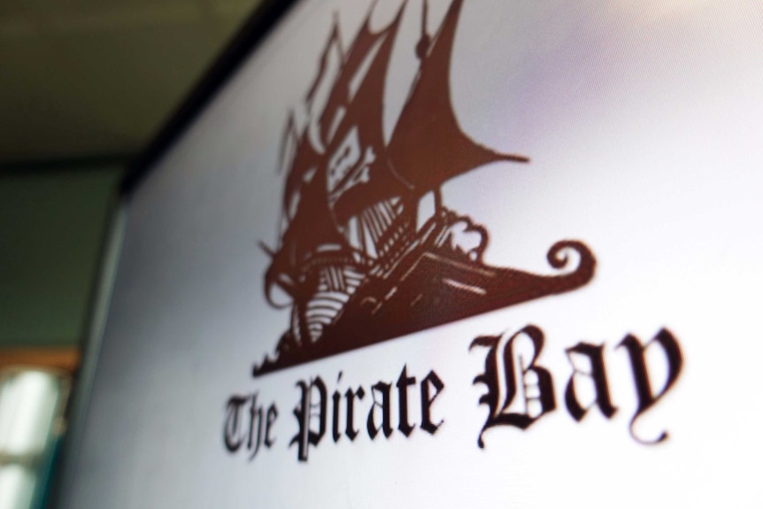 Torrent downloading website The Pirate Bay.
