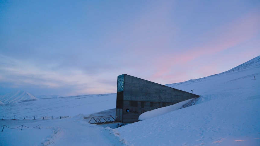 The entrance to the Global Seed Vault sits on the Arctic tundra on the archipelago of Svalbard.