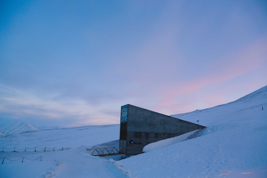 The entrance to the Global Seed Vault sits on the Arctic tundra on the archipelago of Svalbard.