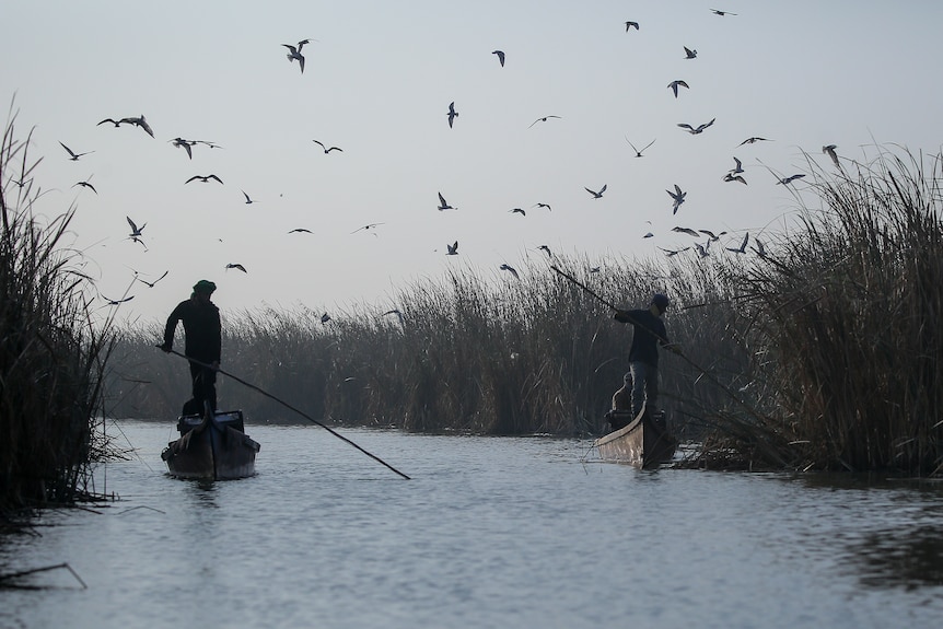 Two people paddle down a river with several birds flying above