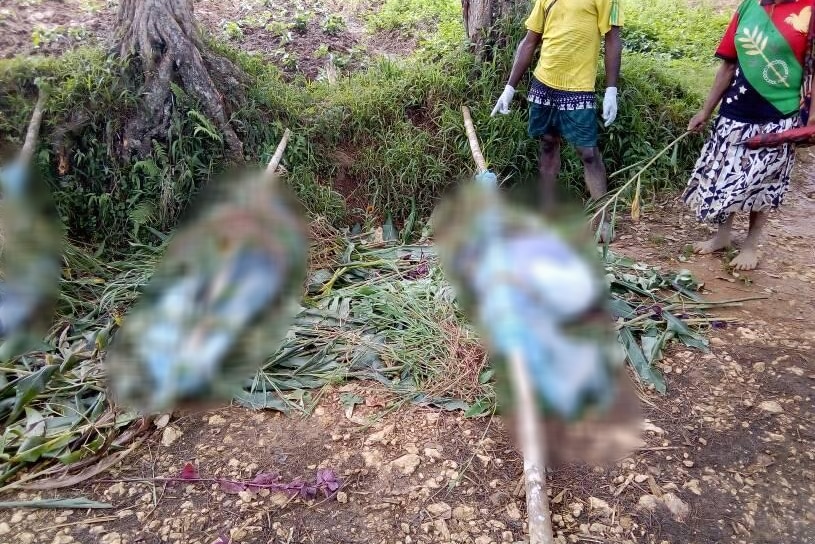 On the side of a dirt road, bodies are pictured blurred in blue mourning wraps tied to logs, as two people watch over them.