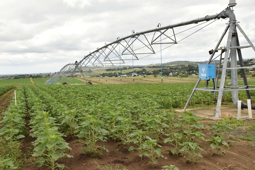 A watering system over a farm.