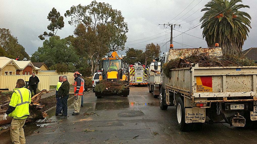 Storm clean up starts in Adelaide's north-east