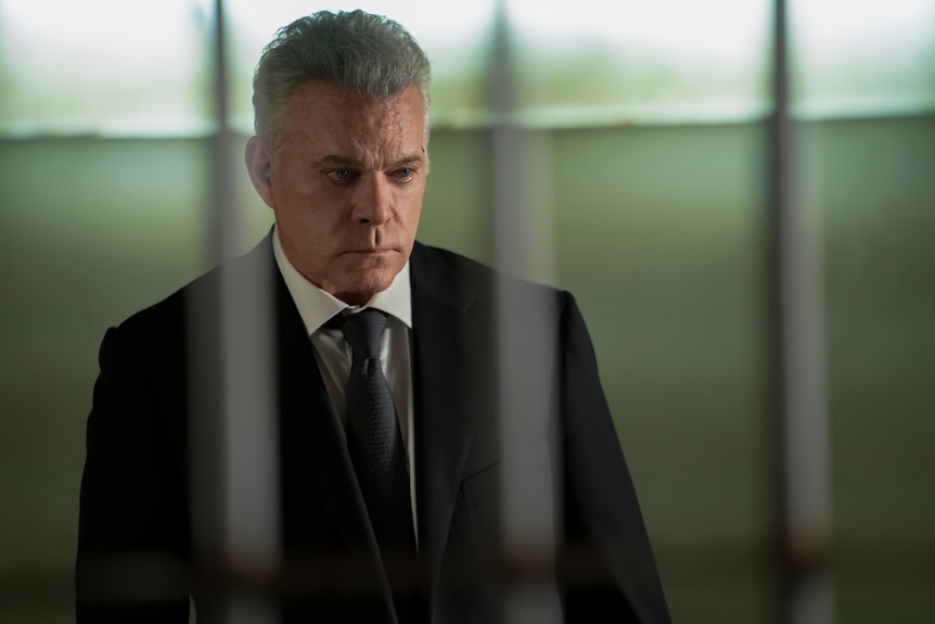 Ray Liotta is seen through blurred jail cell  bars.