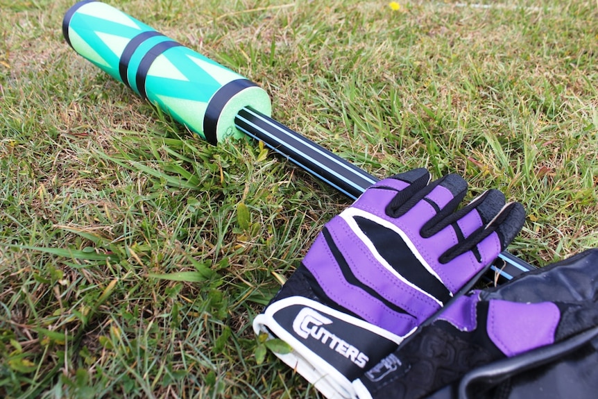 Long pole with pool noodle on one end and pair of gloves laying on the grass.