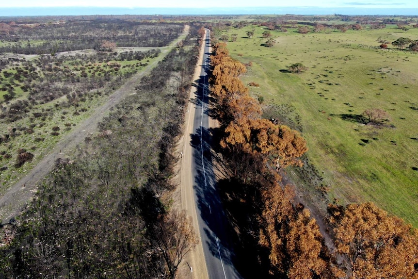 Aerial shot of Keilira shows one side of the road blackened with burnt trees and the other side green.