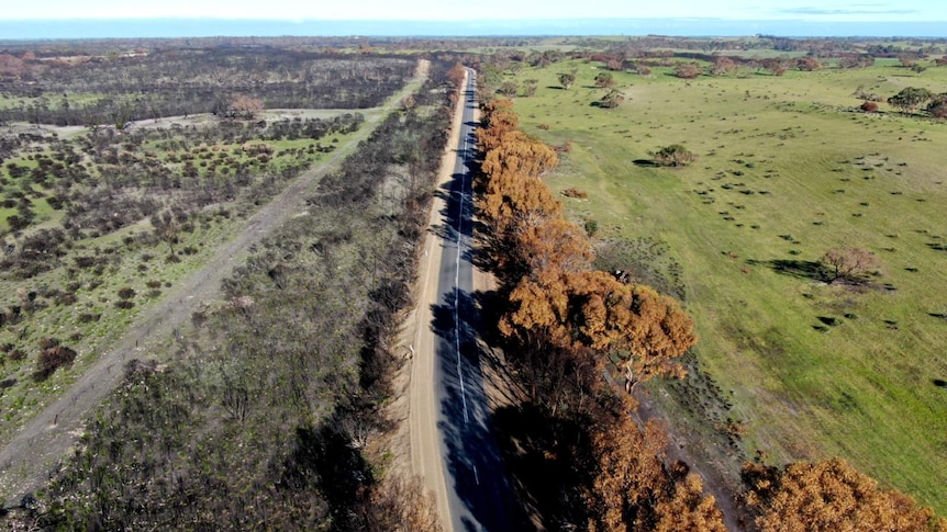 Aerial shot of Keilira shows one side of the road blackened with burnt trees and the other side green.