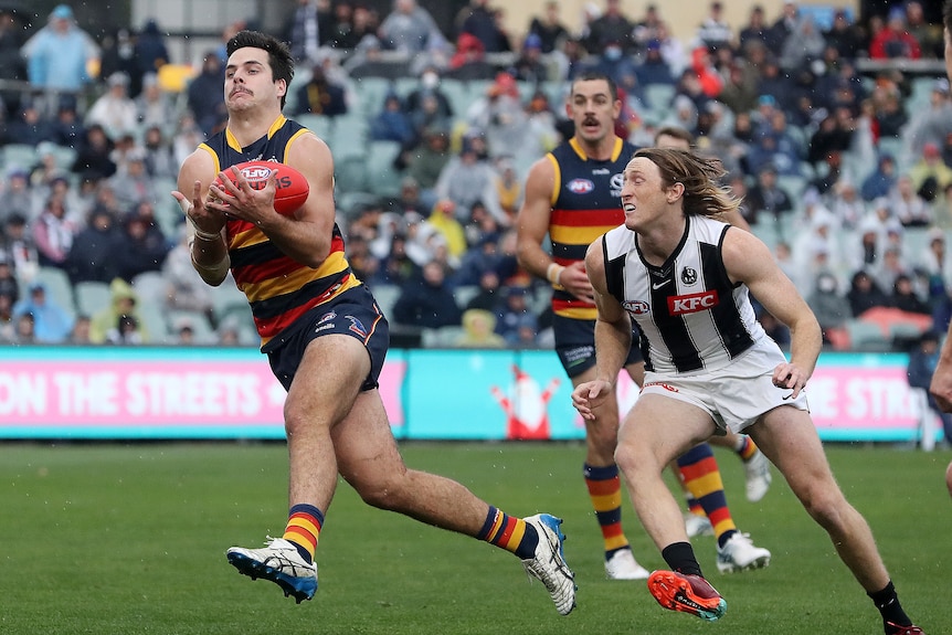 An Adelaide AFL forward holds his hands out in front of him to grasp the ball as a Collingwood defender is left behind.