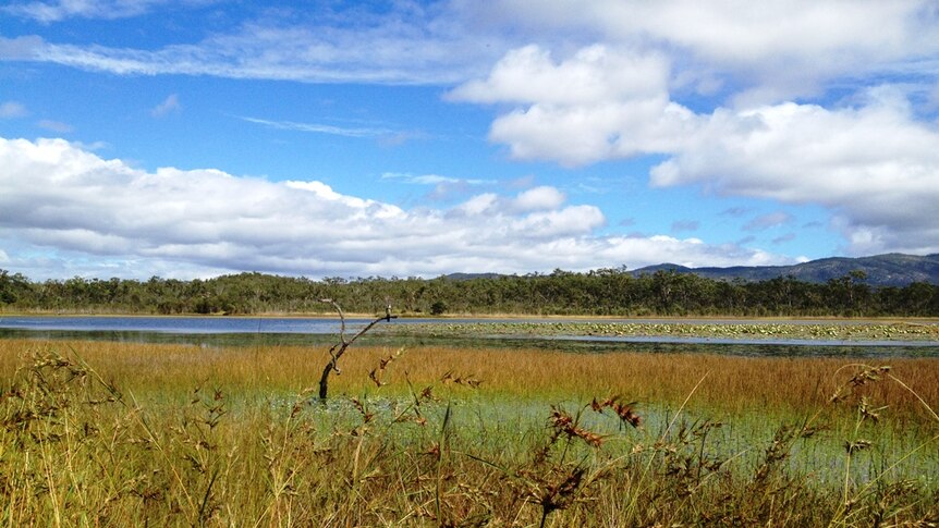 Nature Conservancy Spends Big Bucks To Buy Farmland In Murray Darling Basin Abc Listen 
