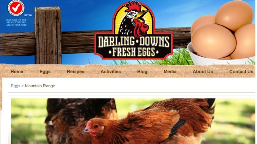 Screen shot of Darling Downs Fresh Eggs web page
