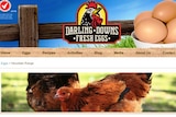 Screen shot of Darling Downs Fresh Eggs web page