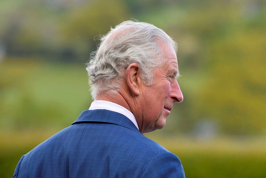 Prince Charles in a green field shot from behind looking thoughtful 