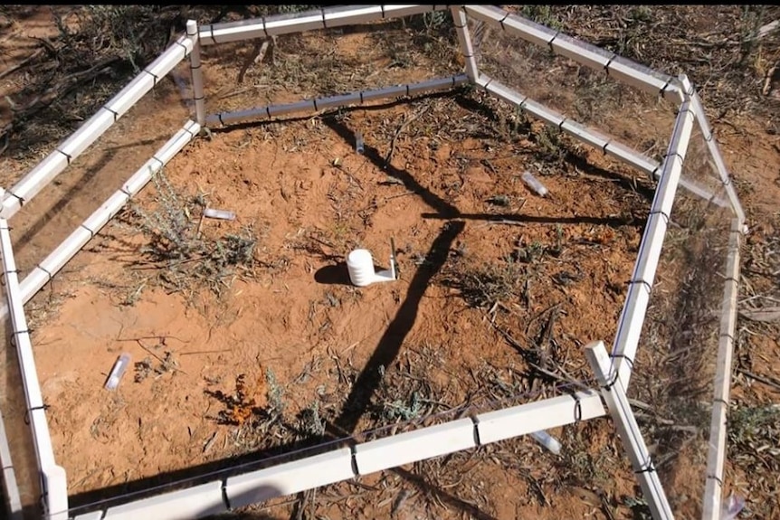 An open-topped, hexagonal cage-like structure sitting in the red dirt of South Australia.