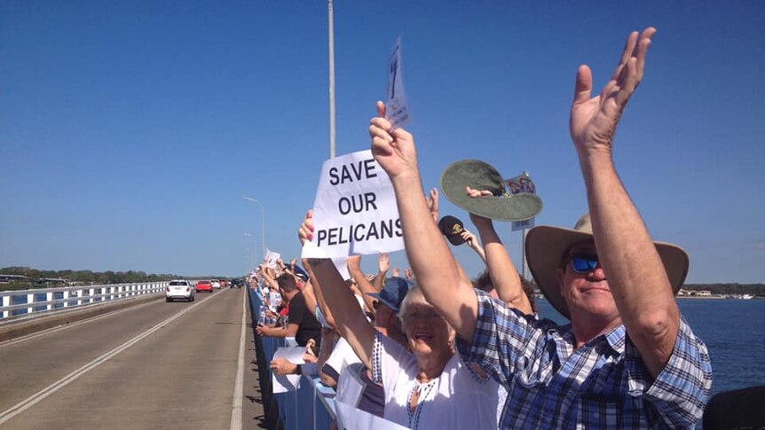 Protesters on a bridge hold up signs that read 'save our pelicans'