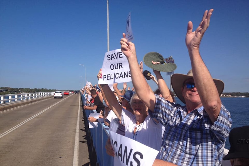 Protesters on a bridge hold up signs that read 'save our pelicans'