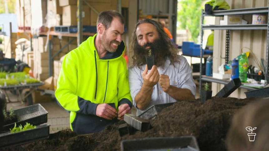 Man holding a small plant in pot showing it to another man