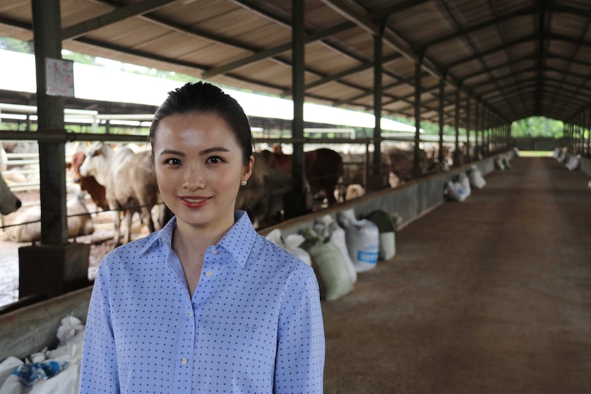 Regina Hartono standing under a shed with cattle penned up behind her.