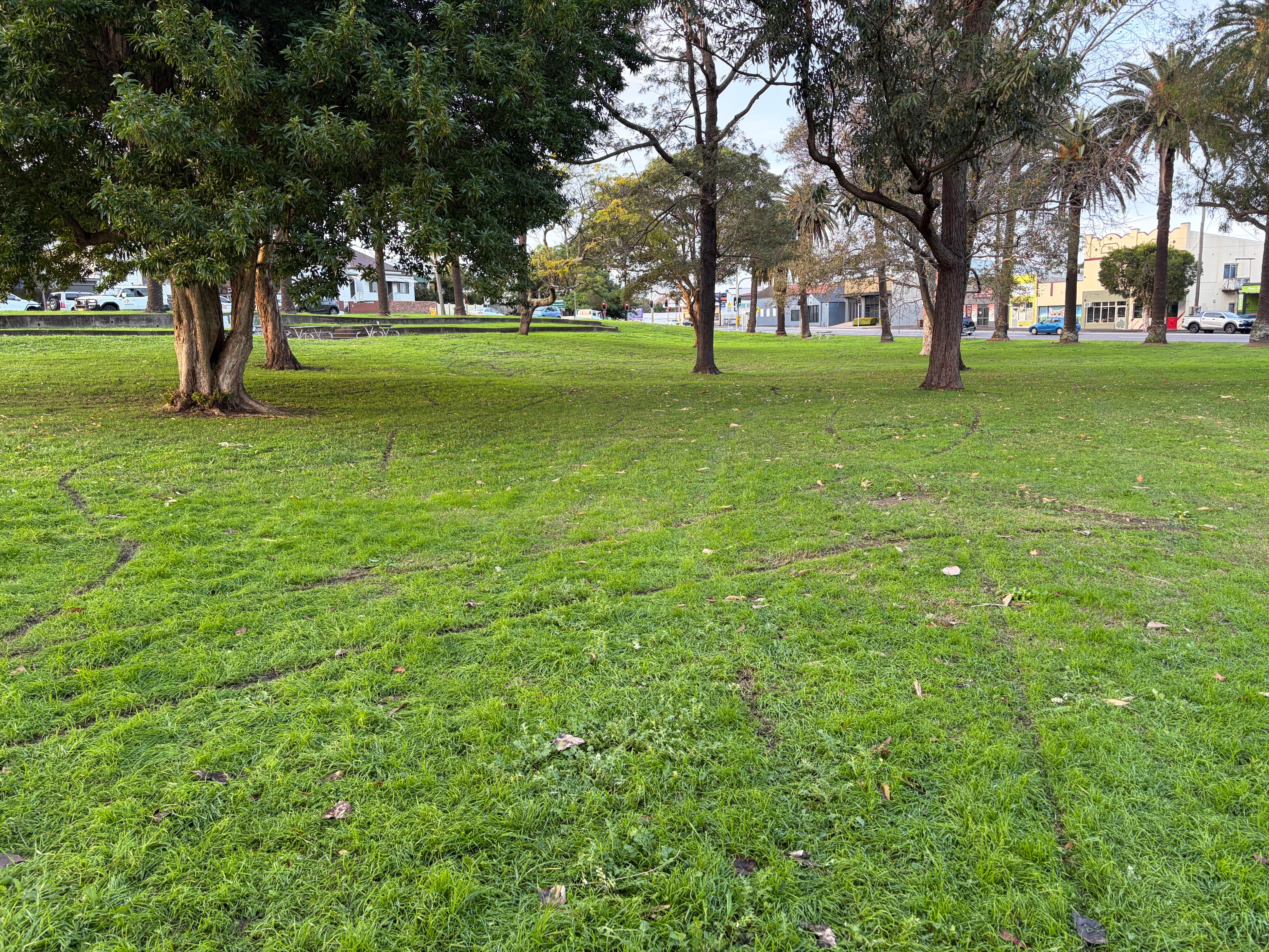 Trail bike marks in a park's grass, trees can be seen in the background.