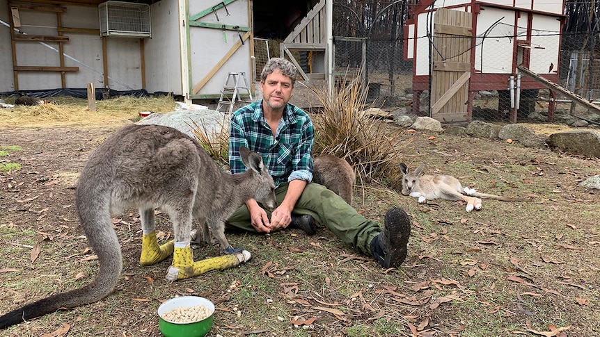 Peter Day at his sanctuary with wildlife treated for burn injuries caused by surrounding bushfires, February 2020