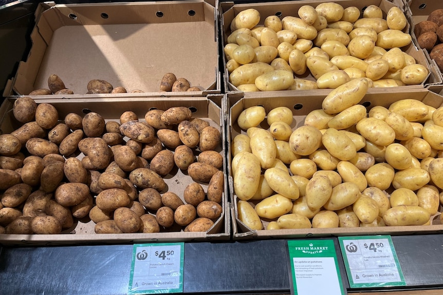 boxes of potatoes in the supermarket