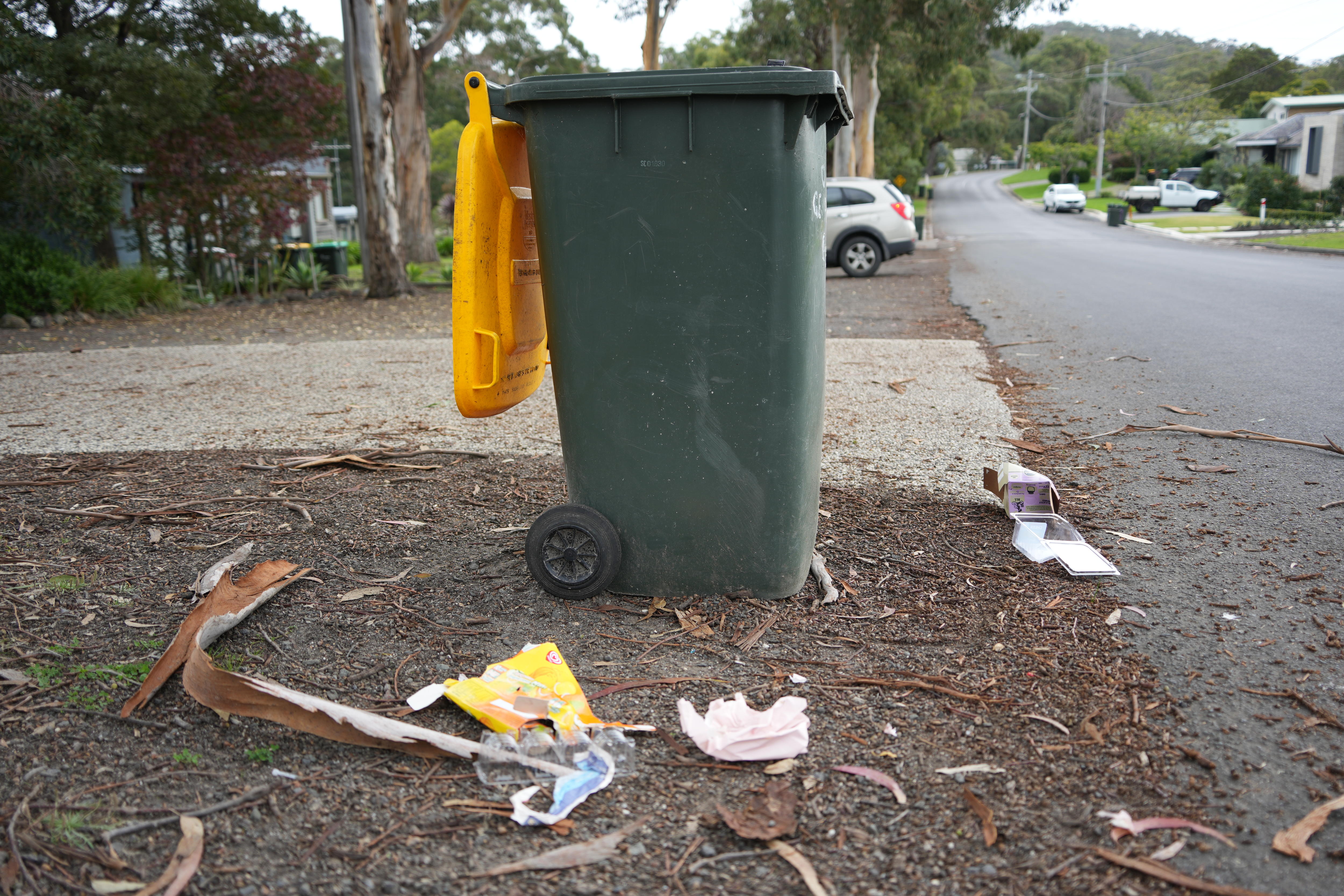 Pieces of rubbish lie on the bark covered ground beside a wheelie bin with a yellow lid on the kerb of a residential street.