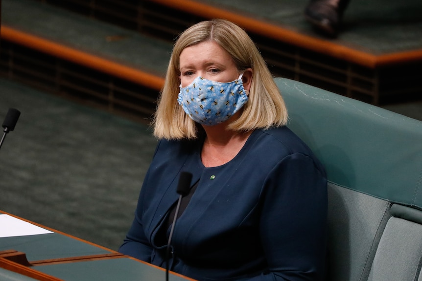 Bridget Archer wearing a blue floral mask, sitting in the house of representatives