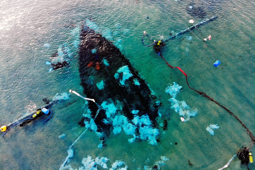 an aerial view of the shipwreck being excavated, with four divers aorund it