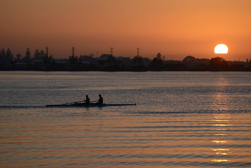 Two rowers scull in front of the rising sun at Throsby Creek in Newcastle