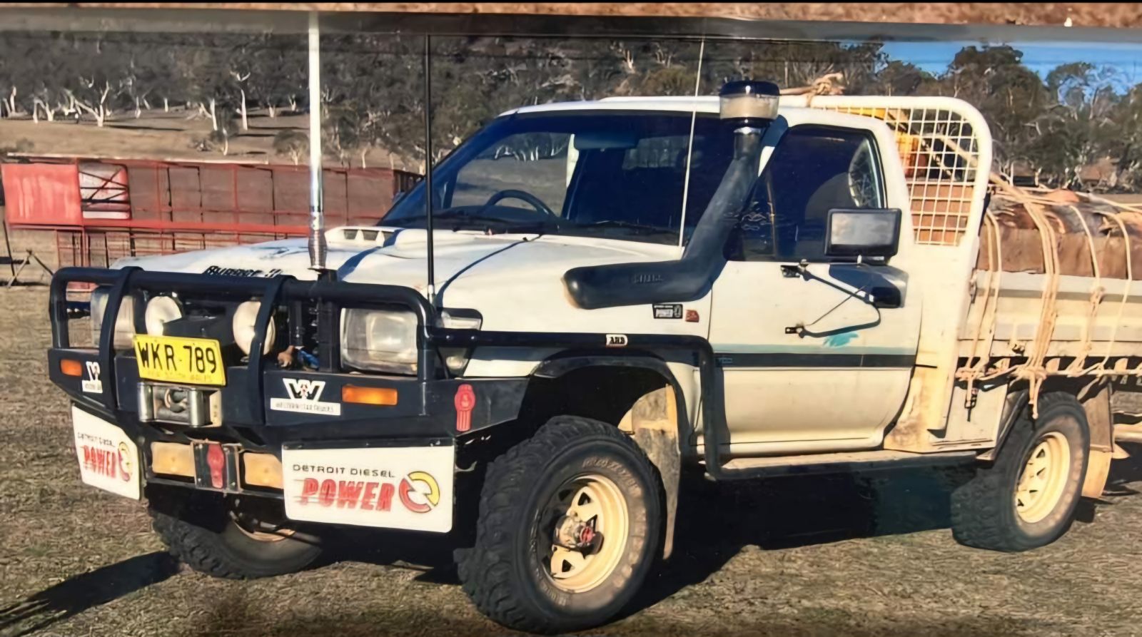 Multi-agency search underway for missing Snowy Mountains man John ...