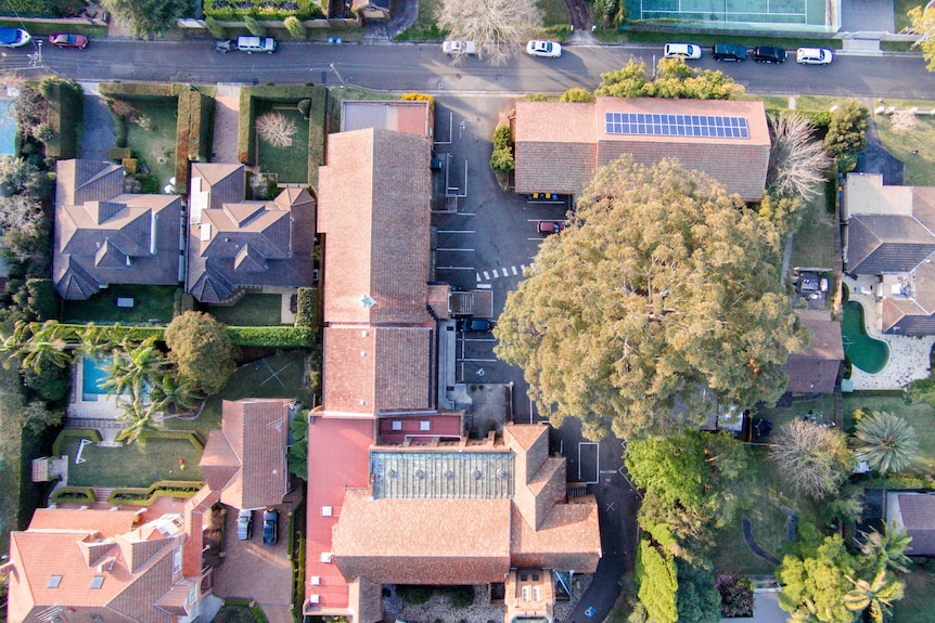 An aerial view of a block of houses with backyards and one big tree.