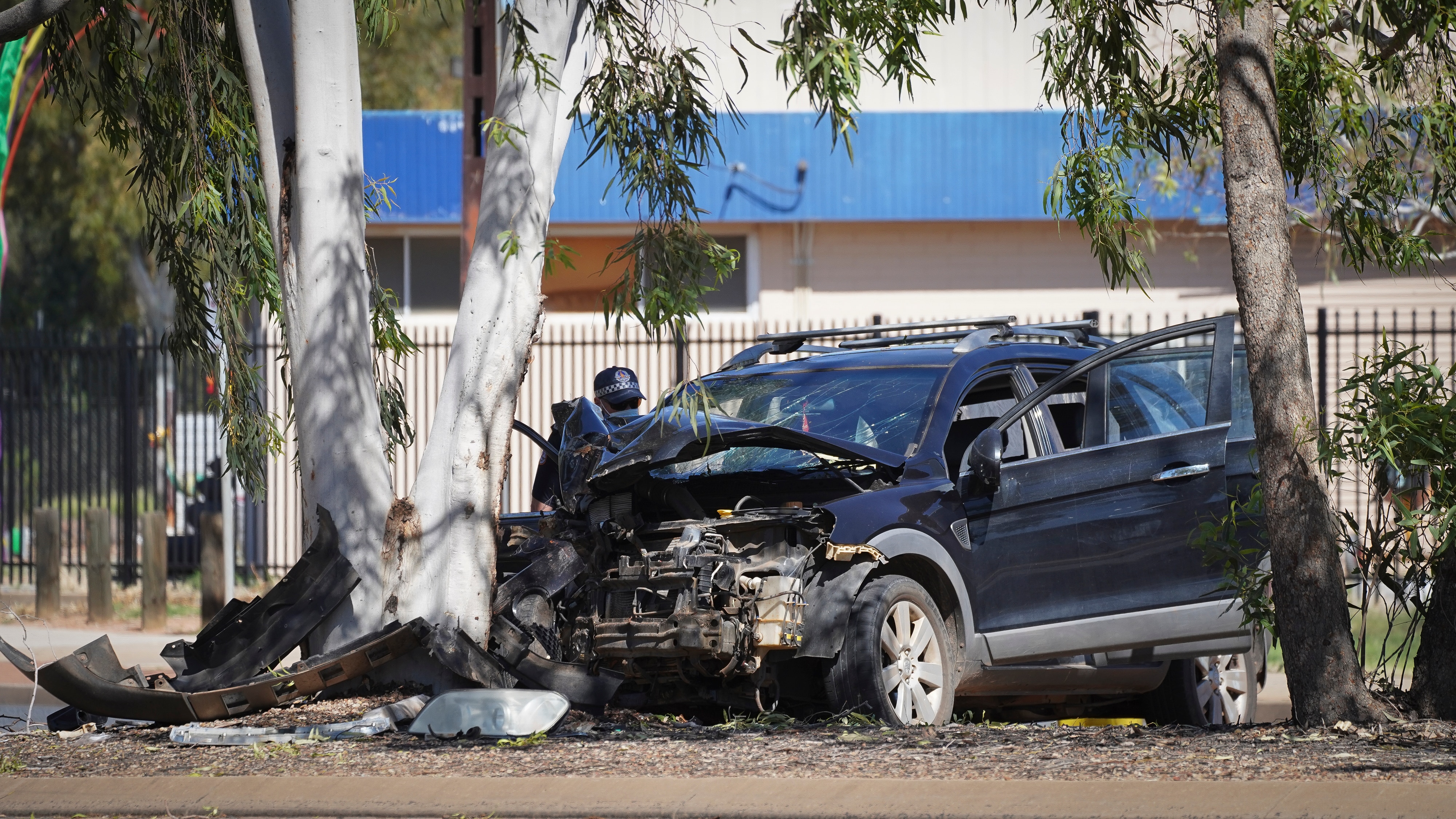 A car sits with its door open and the front end almost completely crushed against a tree.