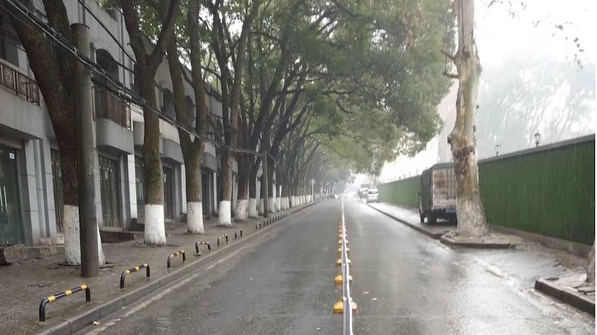 An empty street in Wuhan, with nobody pictured on the road or side walk.
